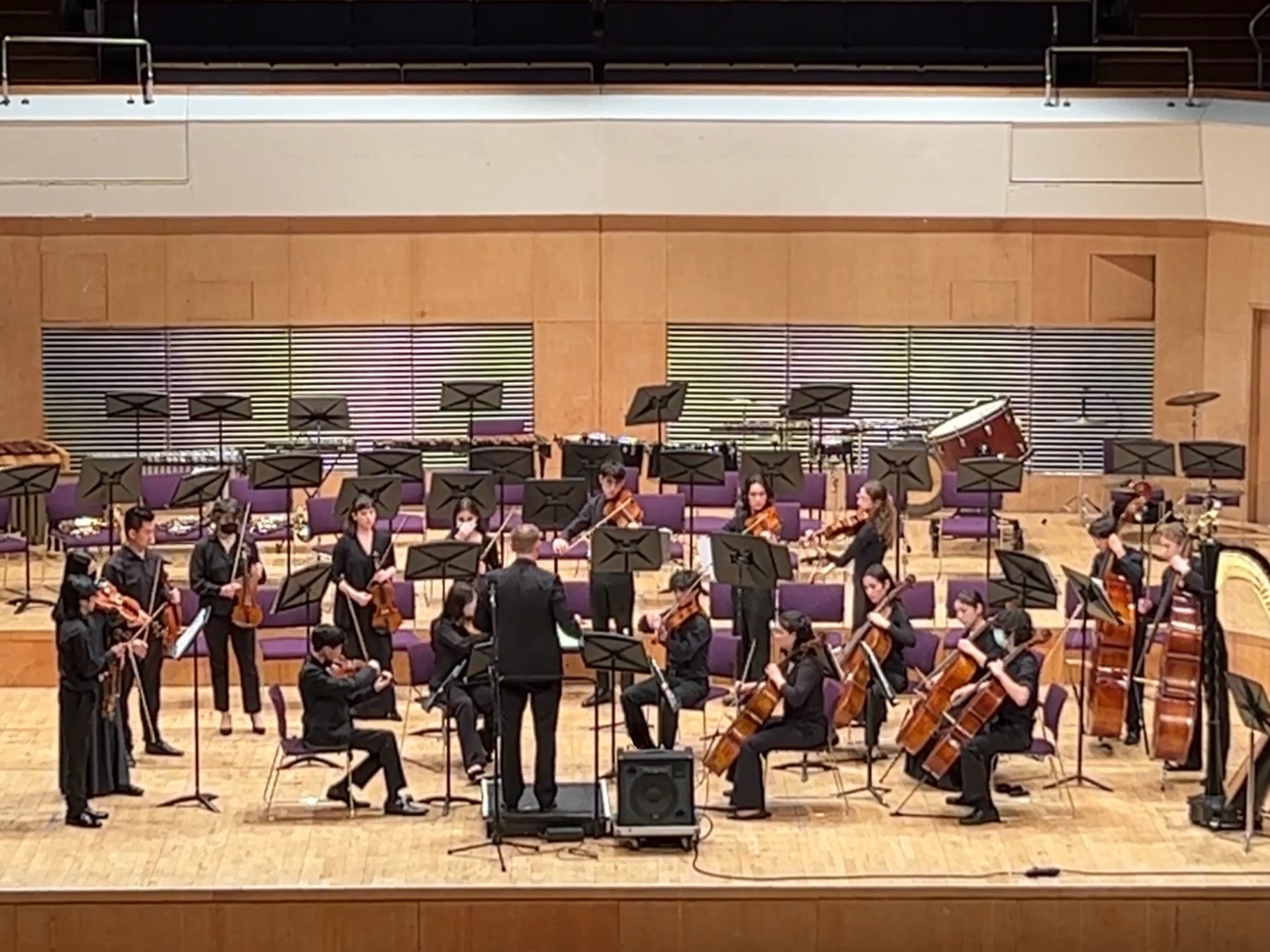 Chamber Orchestra performing in Dublin